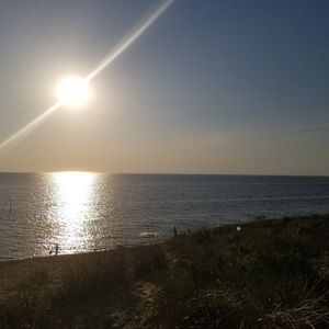 Meet your Posher, Jenny